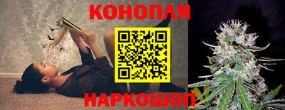 гидропоника Ирбит