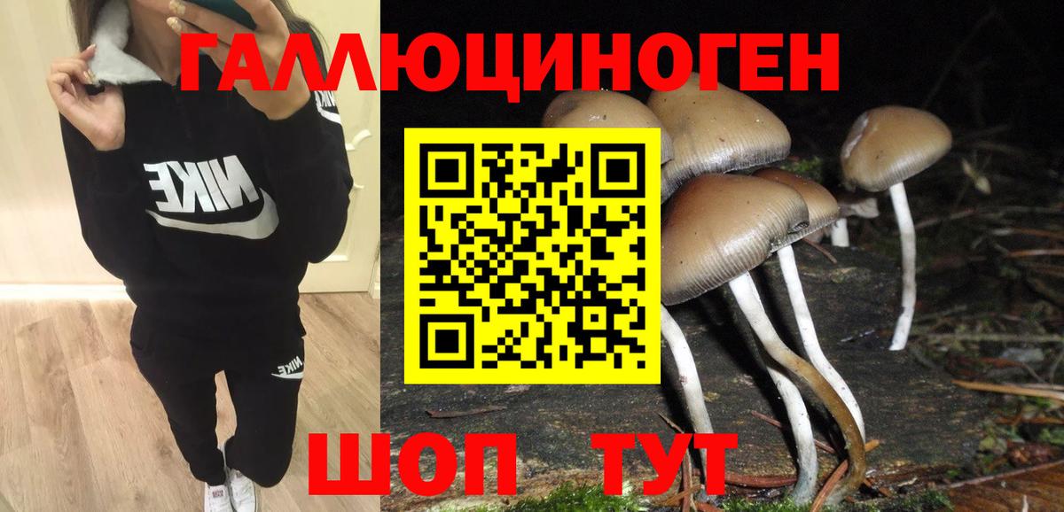 Красноярск  Галлюциногенные грибы Magic Shrooms  Псилоцибиновые грибы Cubensis  Вход с VPN 