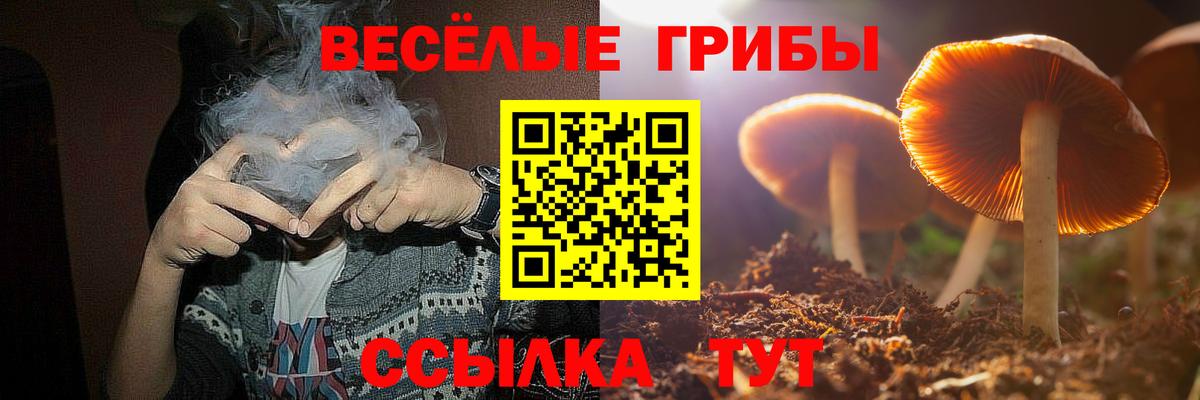 Псилоцибиновые грибы GOLDEN TEACHER Красноярск